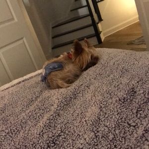 Meet your Posher, Kendall